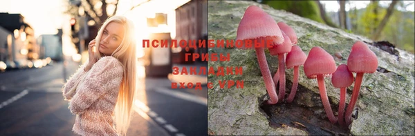 спиды Абдулино