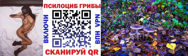 МЕГА зеркало  Каменногорск  Галлюциногенные грибы Magic Shrooms 